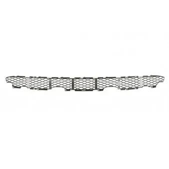 Grille de ventilation, pare-chocs BLIC 6502-07-0095913P