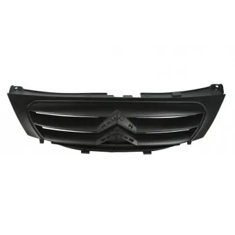 Grille de radiateur BLIC 6502-07-0519992Q