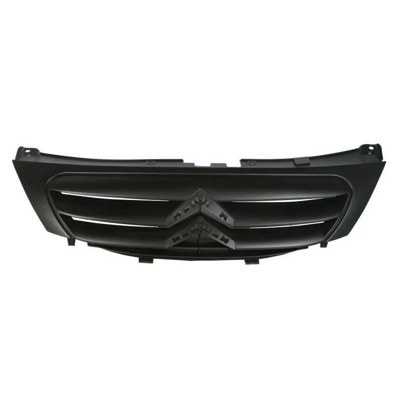 Grille de radiateur BLIC 6502-07-0519992Q