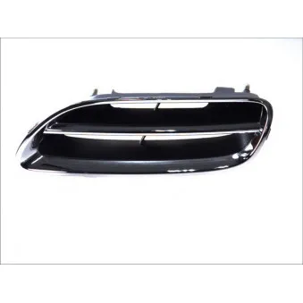 Grille de radiateur BLIC 6502-07-1608998P