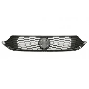 Grille de radiateur BLIC 6502-07-2030990P