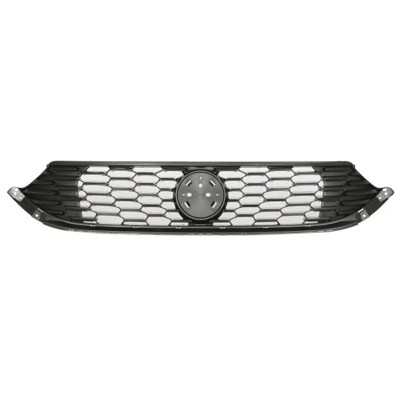 Grille de radiateur BLIC 6502-07-2030990P