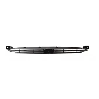 Grille de radiateur BLIC 6502-07-2530990P