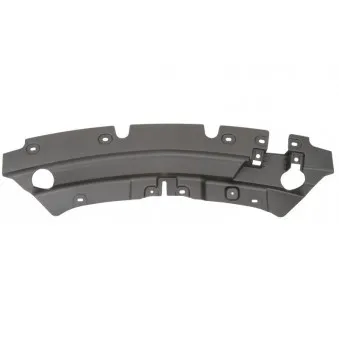 Baguette et bande protectrice, grille de radiateur BLIC 6502-07-2579999P