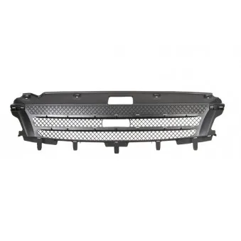 Grille de radiateur BLIC 6502-07-3081992P