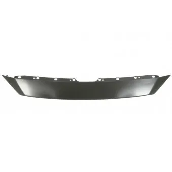 Enjoliveur, grille de radiateur BLIC 6502-07-3453210P