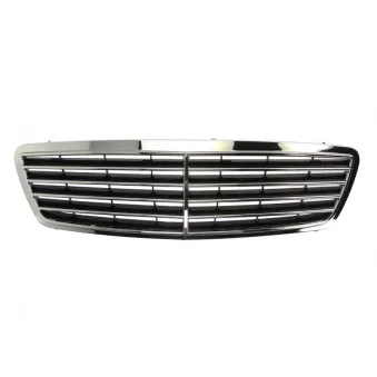 Grille de radiateur BLIC 6502-07-3515997P