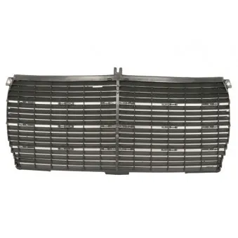 Grille de radiateur BLIC 6502-07-3525990P