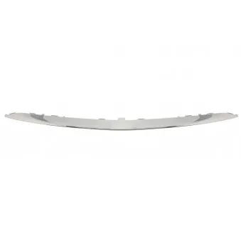 Baguette et bande protectrice, pare-chocs BLIC 6502-07-3531910P