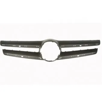 Grille de radiateur BLIC 6502-07-3583911P
