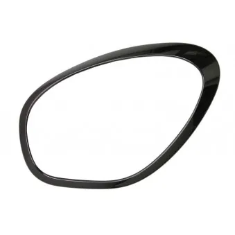 Cadre, projecteur principal avant droit BLIC 6502-07-4003993P