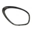 Cadre, projecteur principal avant droit BLIC 6502-07-4003993P - Visuel 2