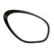 Cadre, projecteur principal avant droit BLIC 6502-07-4003994P - Visuel 1