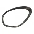 Cadre, projecteur principal avant droit BLIC 6502-07-4003994P - Visuel 2