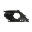 Grille de ventilation, pare-chocs BLIC 6502-07-5025914P - Visuel 1