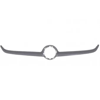 Grille de radiateur BLIC 6502-07-5025992P