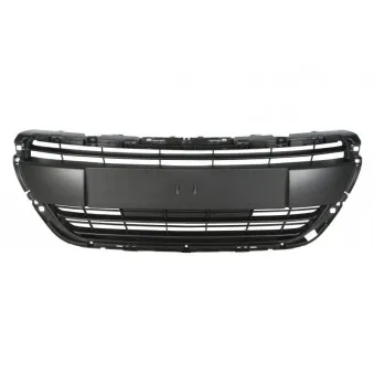 Grille de radiateur BLIC 6502-07-5509992P