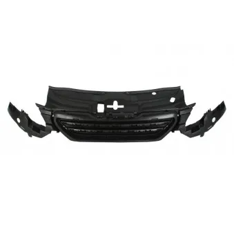 Grille de radiateur BLIC 6502-07-5516990P