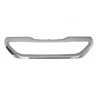 Baguette et bande protectrice, grille de radiateur BLIC 6502-07-5516992P