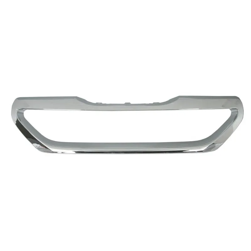 Baguette et bande protectrice, grille de radiateur BLIC 6502-07-5516992P