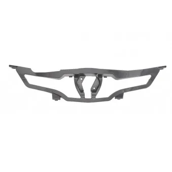 Baguette et bande protectrice, grille de radiateur BLIC 6502-07-6034996P