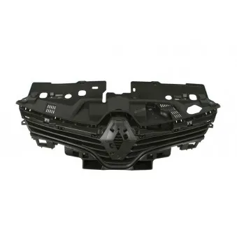 Grille de radiateur BLIC 6502-07-6034998P
