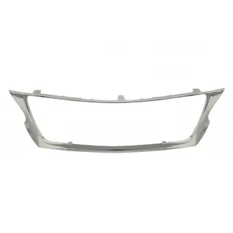 Cadre, grille de radiateur BLIC 6502-07-8121993P