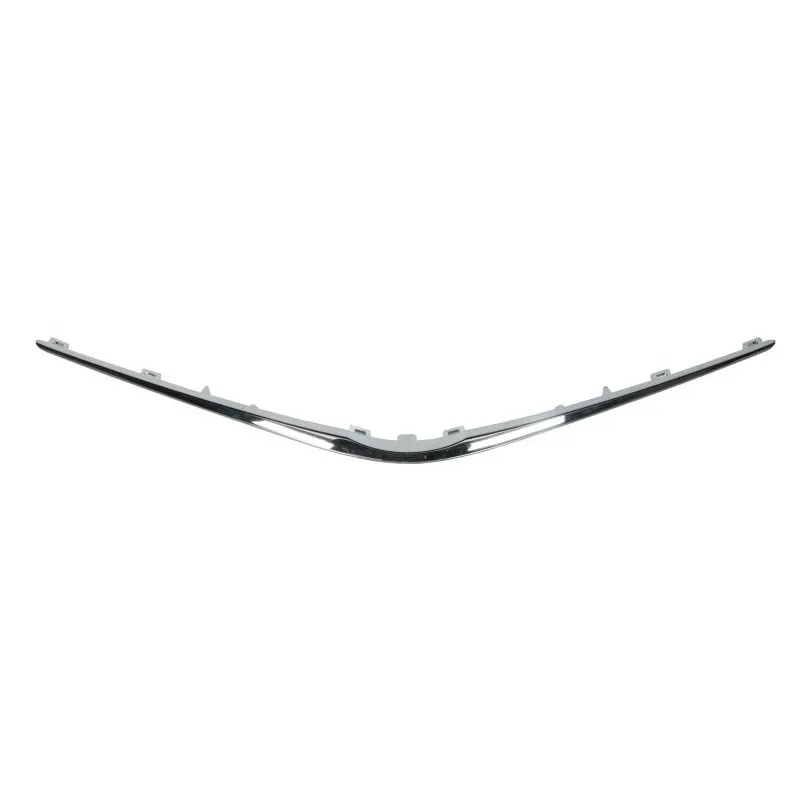 Baguette et bande protectrice, grille de radiateur BLIC 6502-07-8156210Q