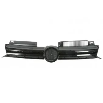 Grille de radiateur BLIC 6502-07-9534992Q