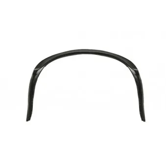 Doublure d'aile arrière droit BLIC