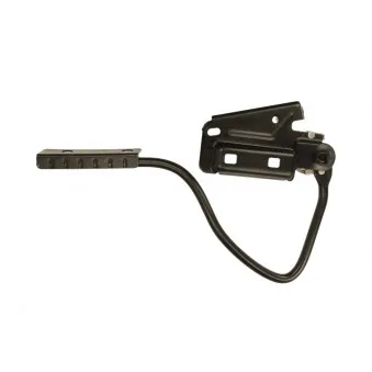 Charnière, capot-moteur avant gauche BLIC 6802-00-2509451P