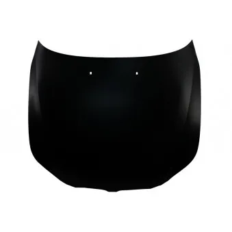 Capot-moteur BLIC 6803-00-0066281P