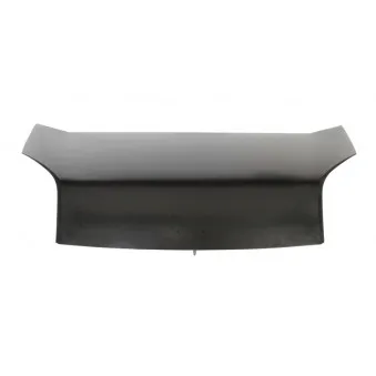 Capot-moteur BLIC 6803-00-0553281P