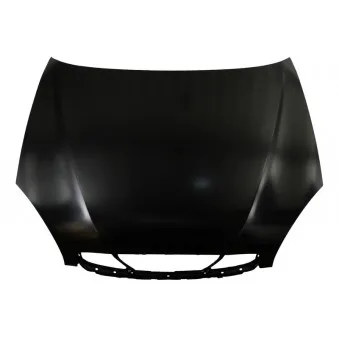 Capot-moteur BLIC 6803-00-1111281P