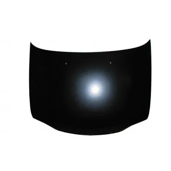 Capot-moteur BLIC 6803-00-1608281P