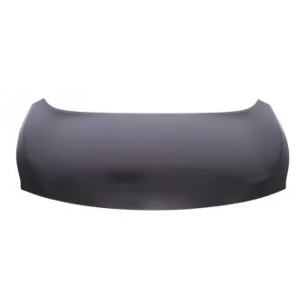 Capot-moteur BLIC 6803-00-1619281P