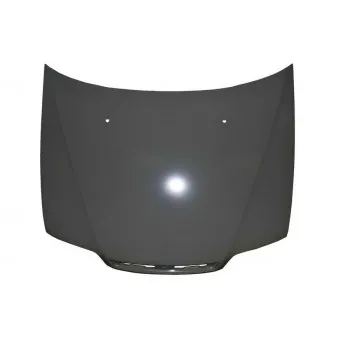 Capot-moteur BLIC 6803-00-2007280P
