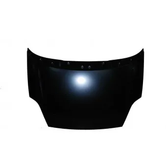 Capot-moteur BLIC 6803-00-2024280P