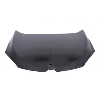Capot-moteur BLIC 6803-00-2036280Q