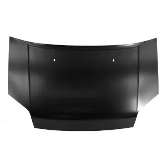 Capot-moteur BLIC 6803-00-2507281P