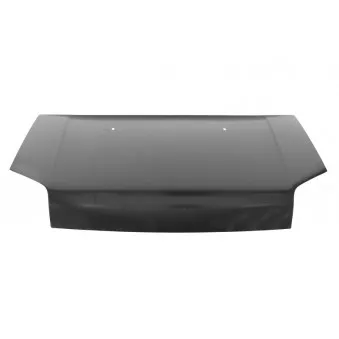 Capot-moteur BLIC 6803-00-2507281Q