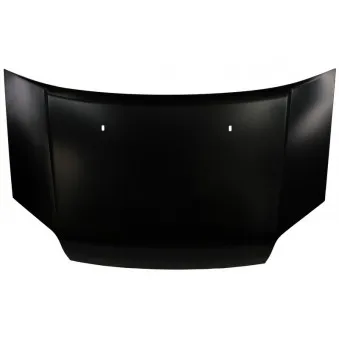 Capot-moteur BLIC 6803-00-2507282P