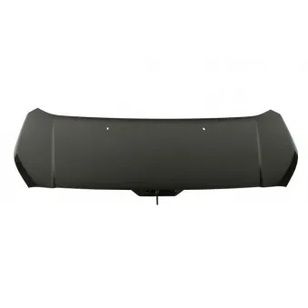 Capot-moteur BLIC 6803-00-2508280P