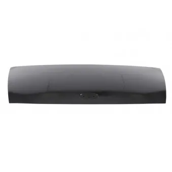 Capot-moteur BLIC 6803-00-2509280Q