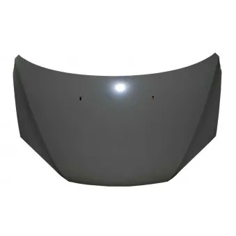 Capot-moteur BLIC 6803-00-2533280P