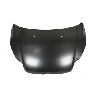 Capot-moteur BLIC 6803-00-2536280P