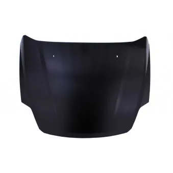 Capot-moteur BLIC 6803-00-2556281P
