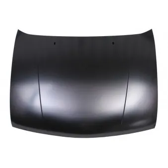 Capot-moteur BLIC 6803-00-2563281P