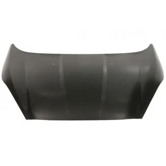 Capot-moteur BLIC 6803-00-2565281Q