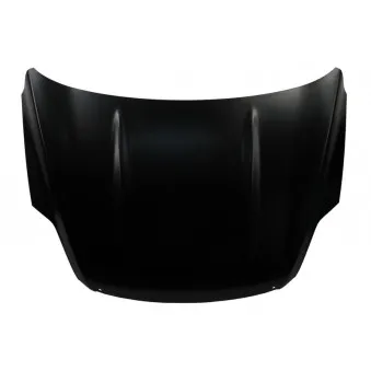 Capot-moteur BLIC 6803-00-2578280P